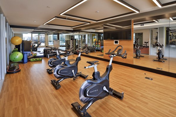 Fitness center at LA Plaza Village Apartments featuring modern equipment and stylish interiors