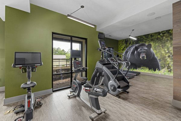 Modern fitness center with state-of-the-art equipment at The Dakota Apartments, perfect for luxury living and active lifestyles in urban settings