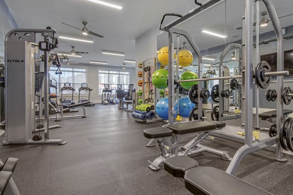 Well-equipped gym featuring weight machines and exercise balls in luxury apartments