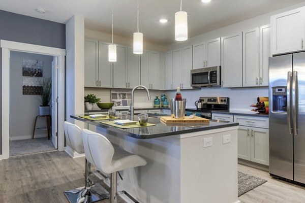 Modern kitchen with stainless steel appliances in Proximity Northlake Apartments