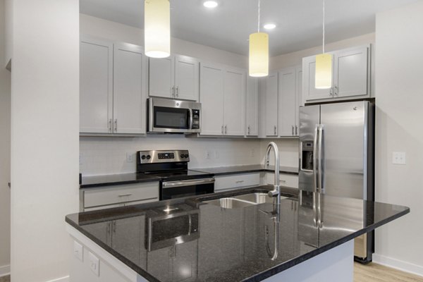 Modern kitchen with sleek appliances at Proximity Northlake Apartments in a luxury setting