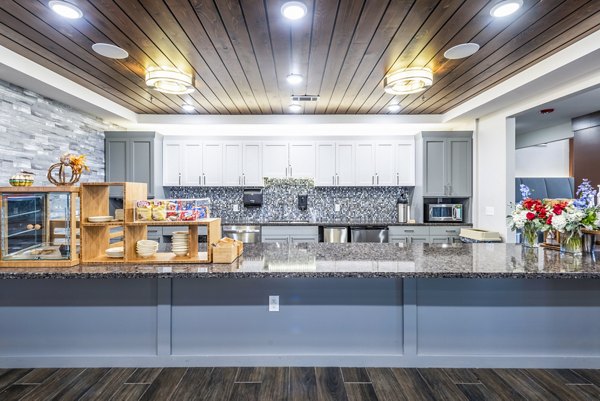 Community clubhouse kitchen with modern appliances at Overture Frisco Apartments, a luxury property offering upscale living experiences