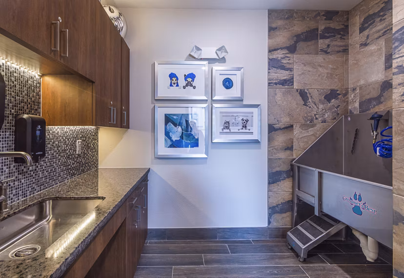 Convenient dog wash station at Overture Frisco Apartments, tailored for pet-loving residents seeking premium amenities in a luxury community
