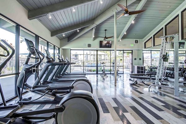 Modern fitness center with state-of-the-art equipment at Solana at Grand Apartments