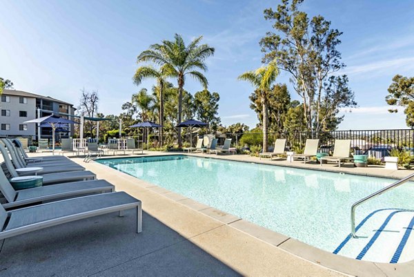 Palm tree-surrounded pool at Solana at Grand Apartments