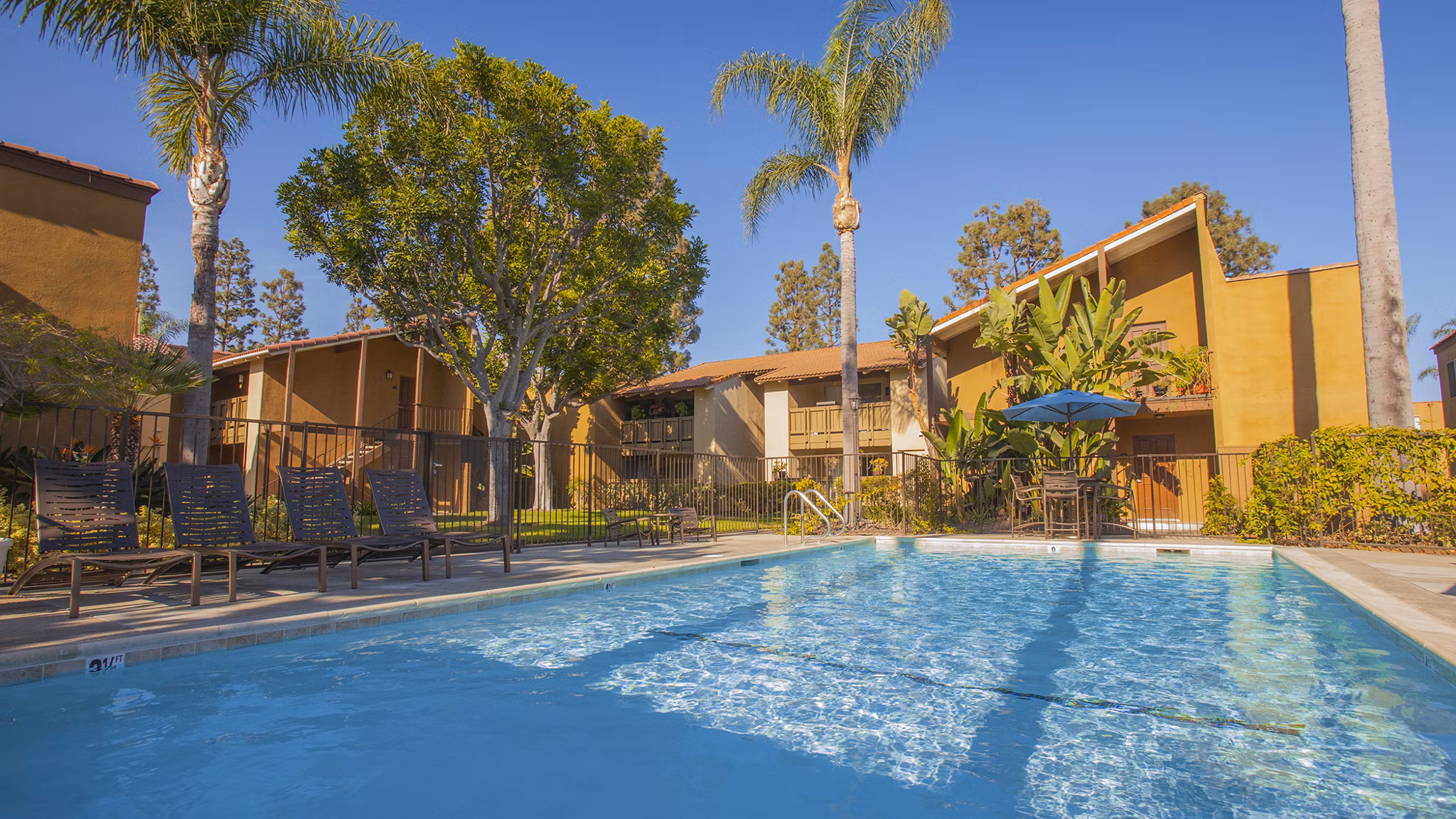 Resort-style pool with lounge chairs at Corte Bella Apartments, offering luxury amenities for residents