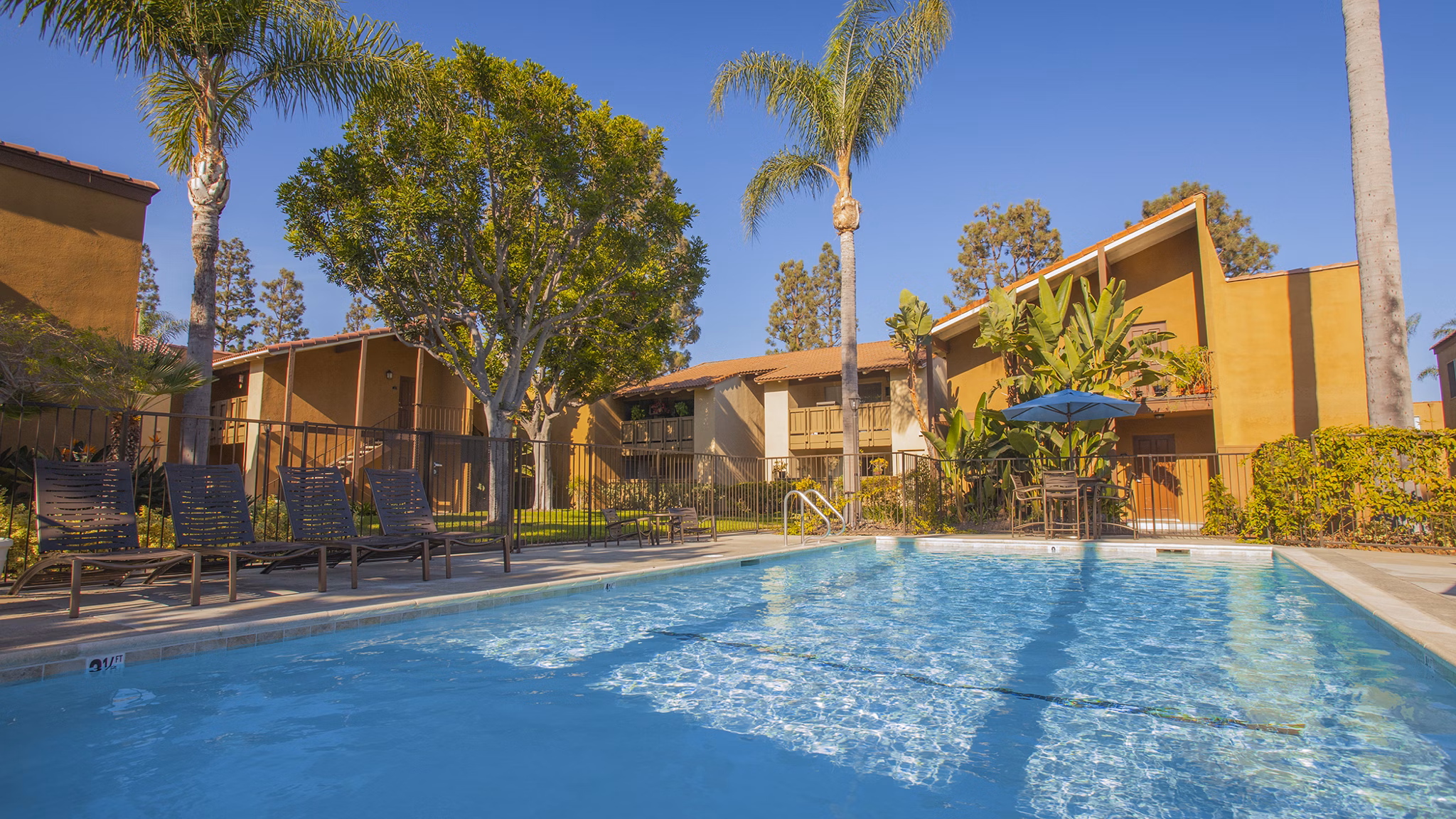 Resort-style pool with lounge chairs at Corte Bella Apartments, offering luxury amenities for residents