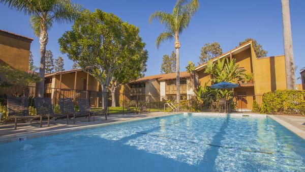Resort-style pool with lounge chairs at Corte Bella Apartments, offering luxury amenities for residents
