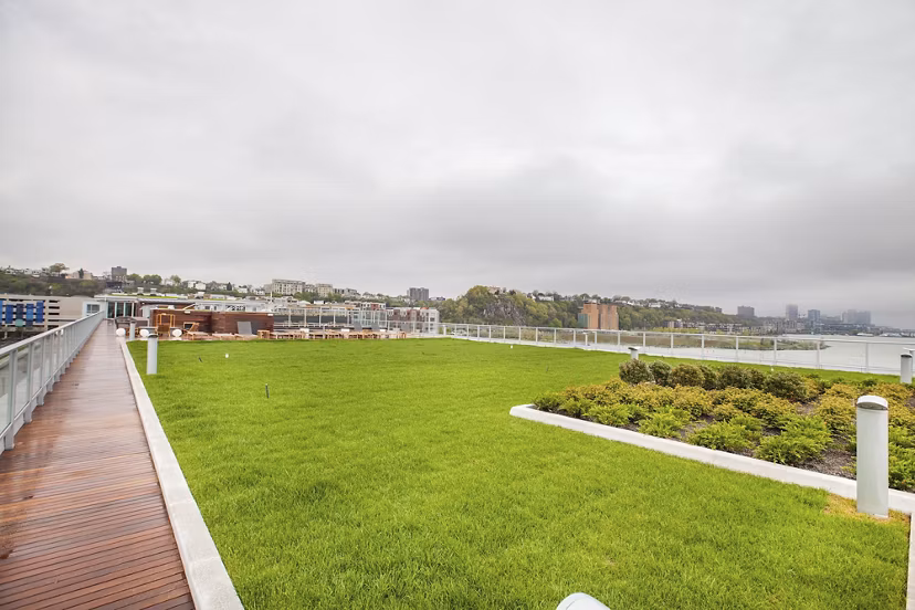 Rooftop garden with green lawn and wooden walkway on cloudy day at Harbor 1500 Apartments