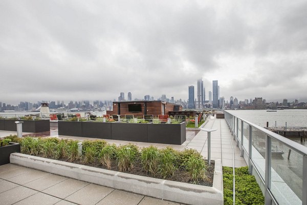 Rooftop garden with panoramic city skyline views at Harbor 1500 Apartments