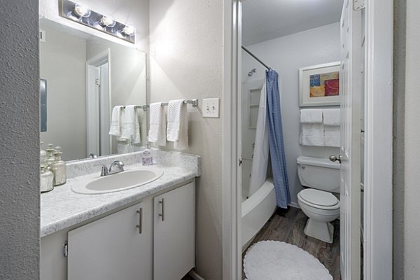 Luxurious bathroom with modern fixtures at Raintree Apartments, a Greystar luxury property