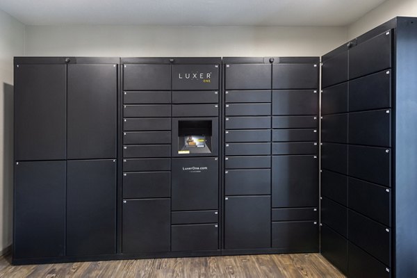 Mail room with organized package lockers at Raintree Apartments