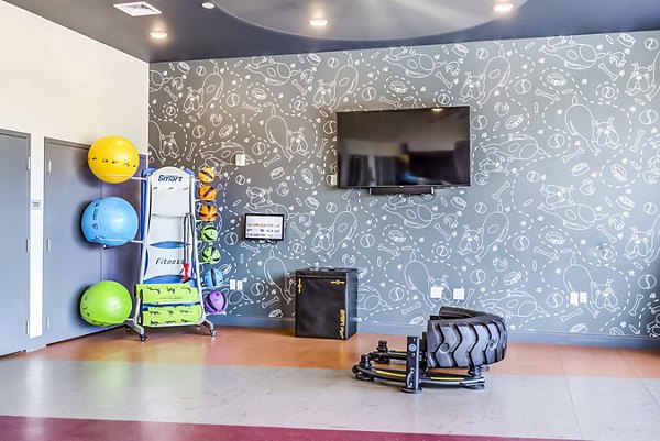 Modern fitness center at College View Apartments with state-of-the-art equipment for optimal workouts