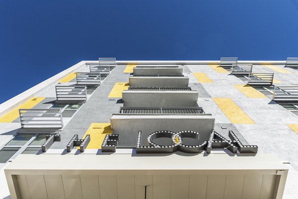 The Local Downtown Apartments: Sleek of luxury apartments in urban cityscape