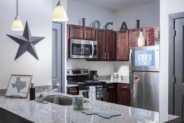 Modern kitchen with sleek cabinetry and stainless appliances in The Local Downtown Apartments