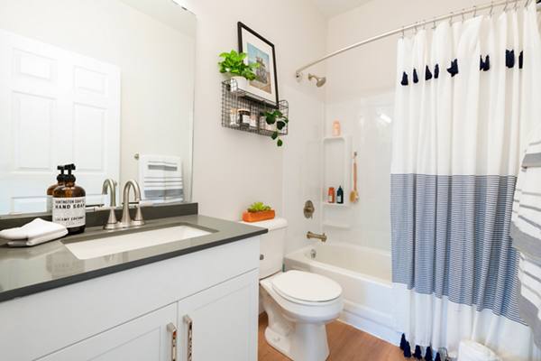 bathroom at The Pointe at State College Apartments