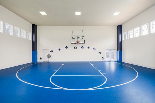 sport court at The Pointe at State College Apartments