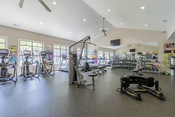 fitness center at The Province Greenville Apartments