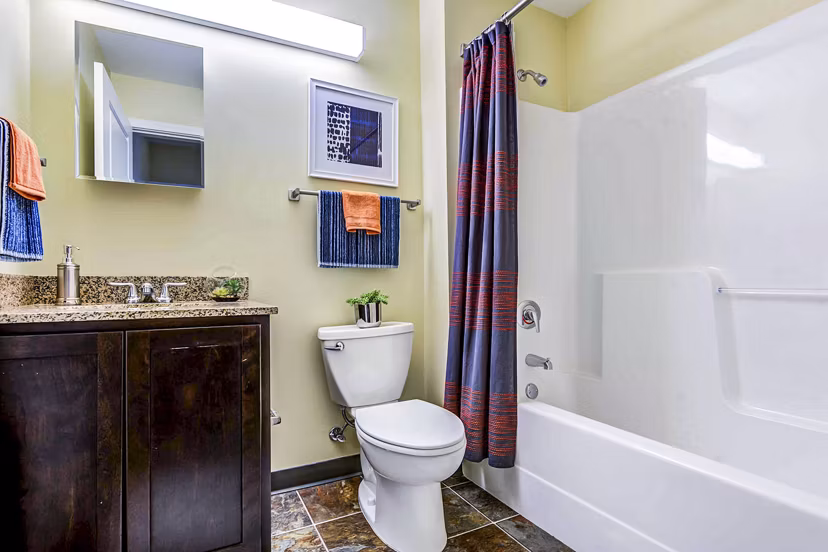 Bathroom featuring modern fixtures at University Village on Colvin apartments