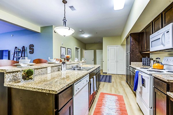 Modern kitchen featuring stainless steel appliances at University Village Apartments on Colvin