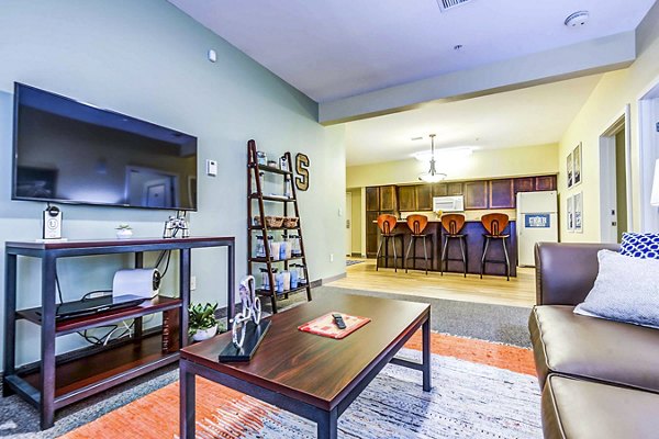 Living room with modern decor and natural light at University Village Apartments On Colvin