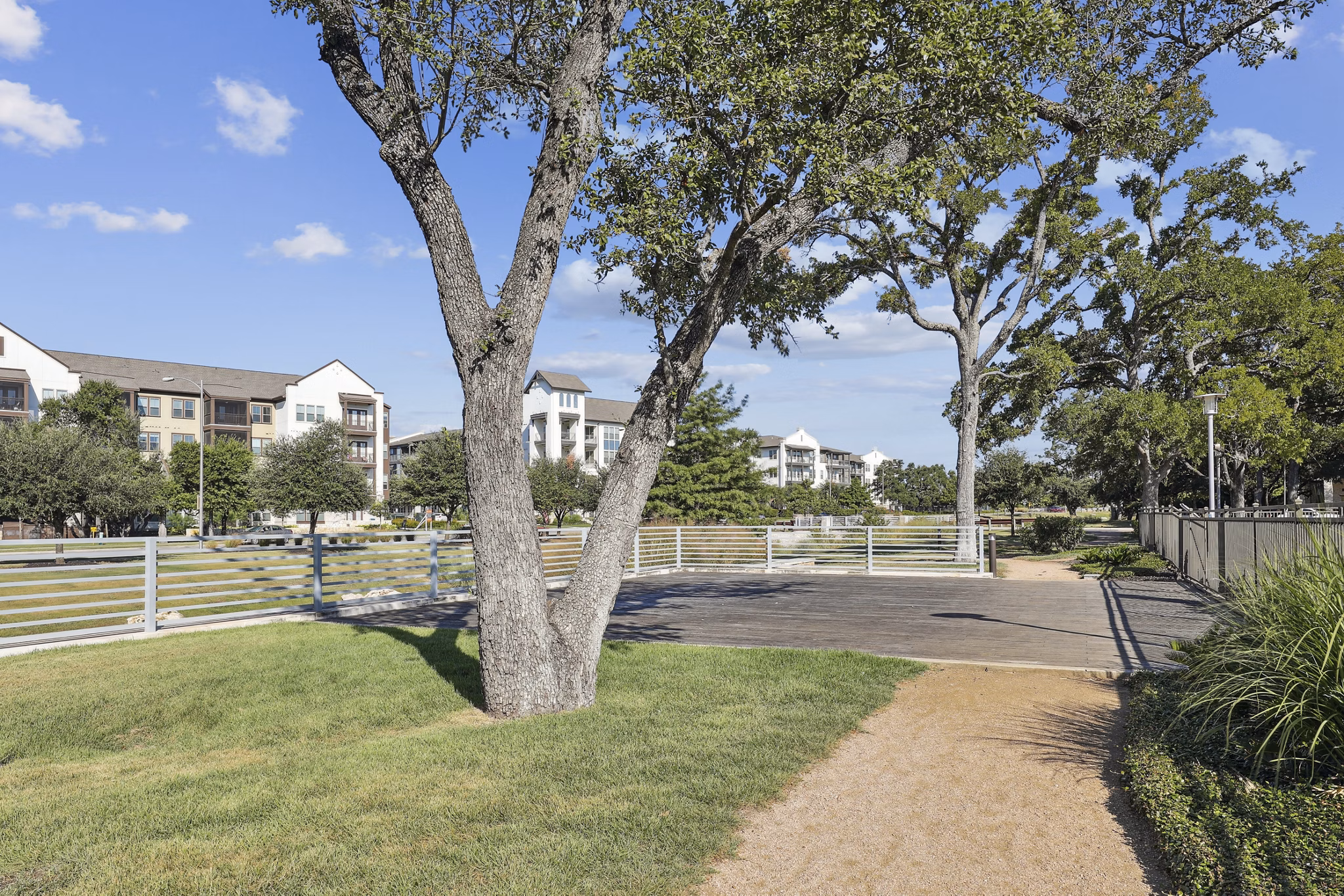 Dog-friendly green space with agility equipment at The Michael at Presidio Apartments