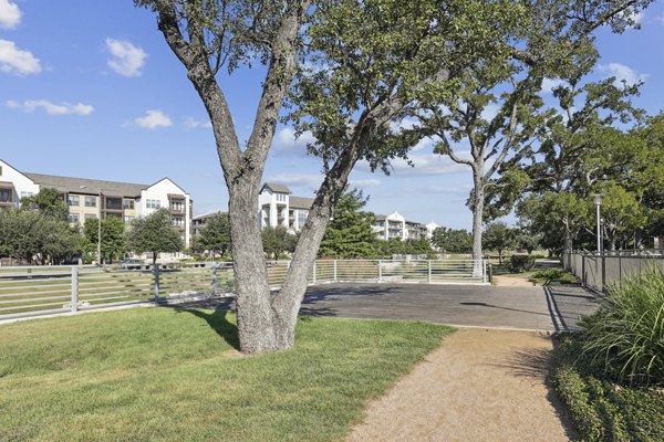 Dog-friendly green space with agility equipment at The Michael at Presidio Apartments