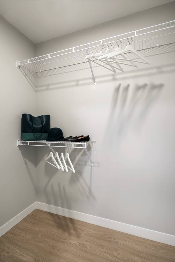 walk in closet at Pierside South Apartments