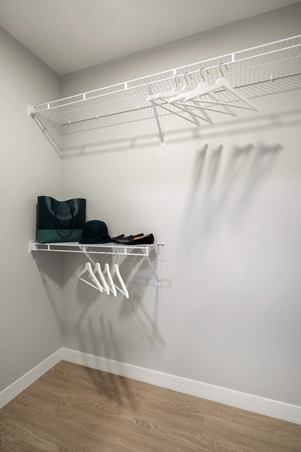 walk in closet at Pierside South Apartments
