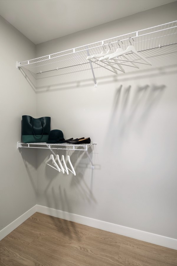 Walk-in closet with ample storage space at Pierside South Apartments