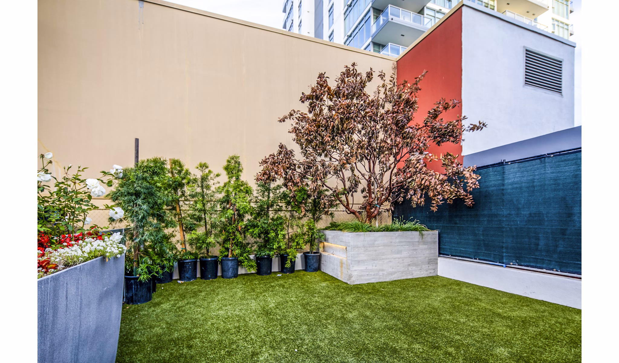 Pet-friendly dog park with agility equipment at Burano Apartments, a Greystar luxury community