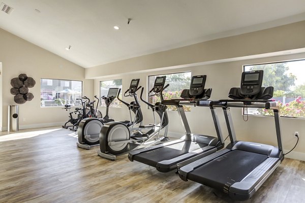 State-of-the-art fitness center with modern equipment at Avana Chandler Apartments