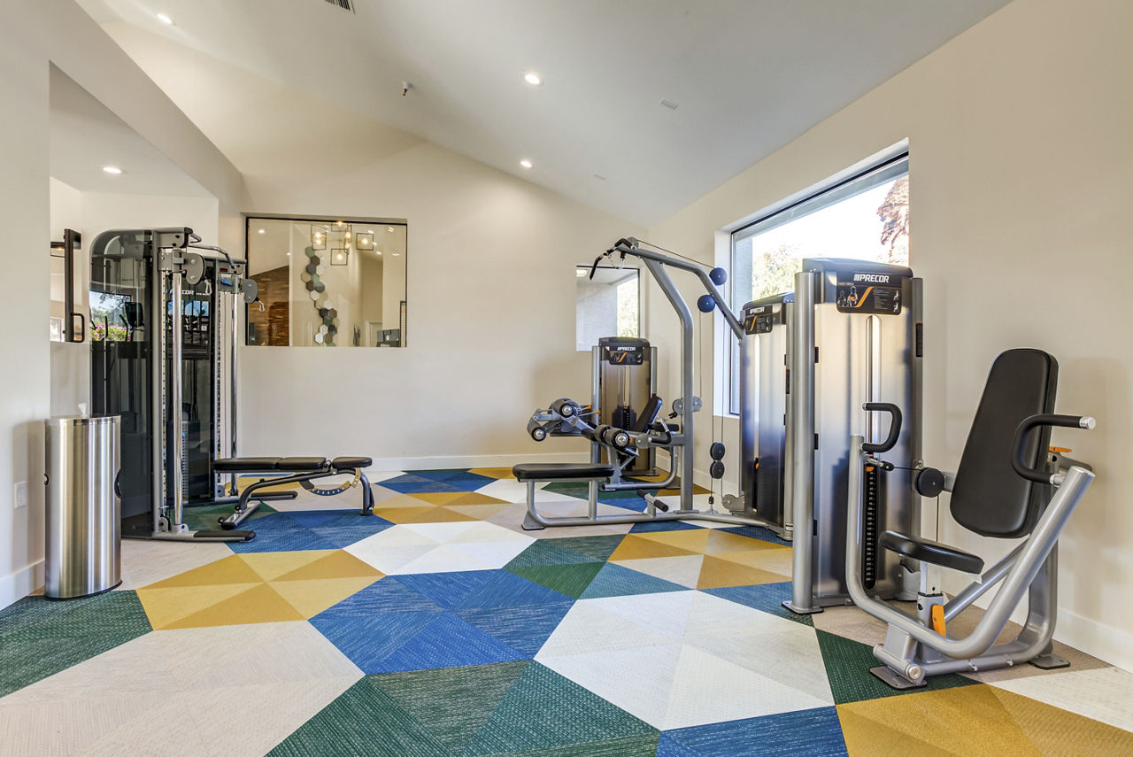 Gym at Avana Chandler (2 of 3)