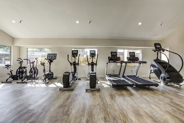 Fitness center with modern equipment at Avana Chandler Apartments