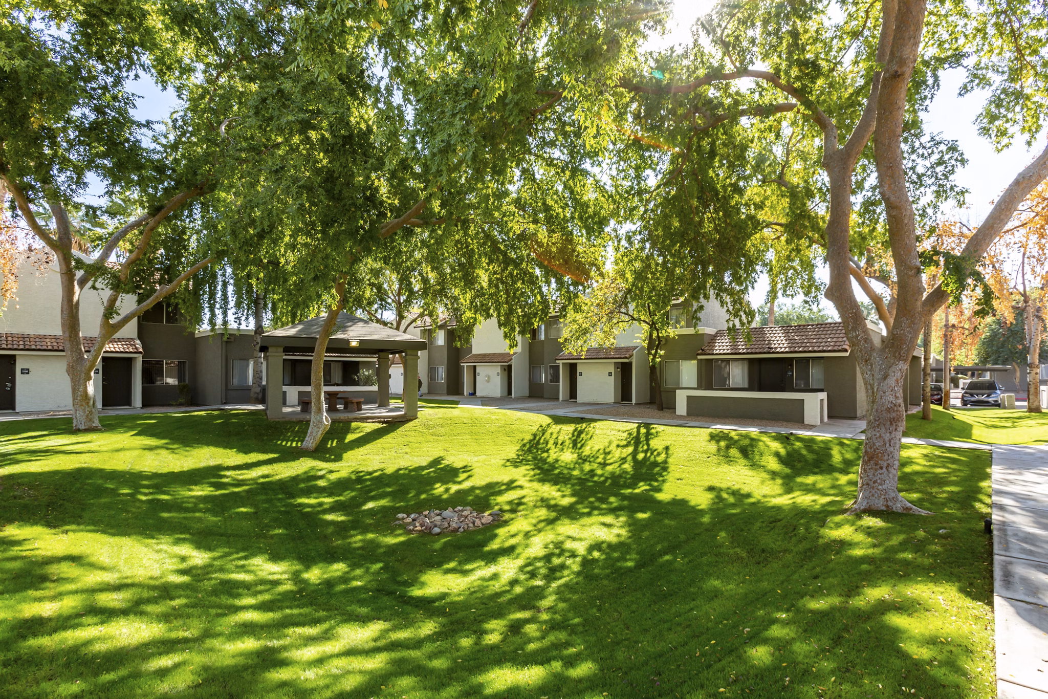 Serene courtyard with lush greenery at Avana Chandler Apartments