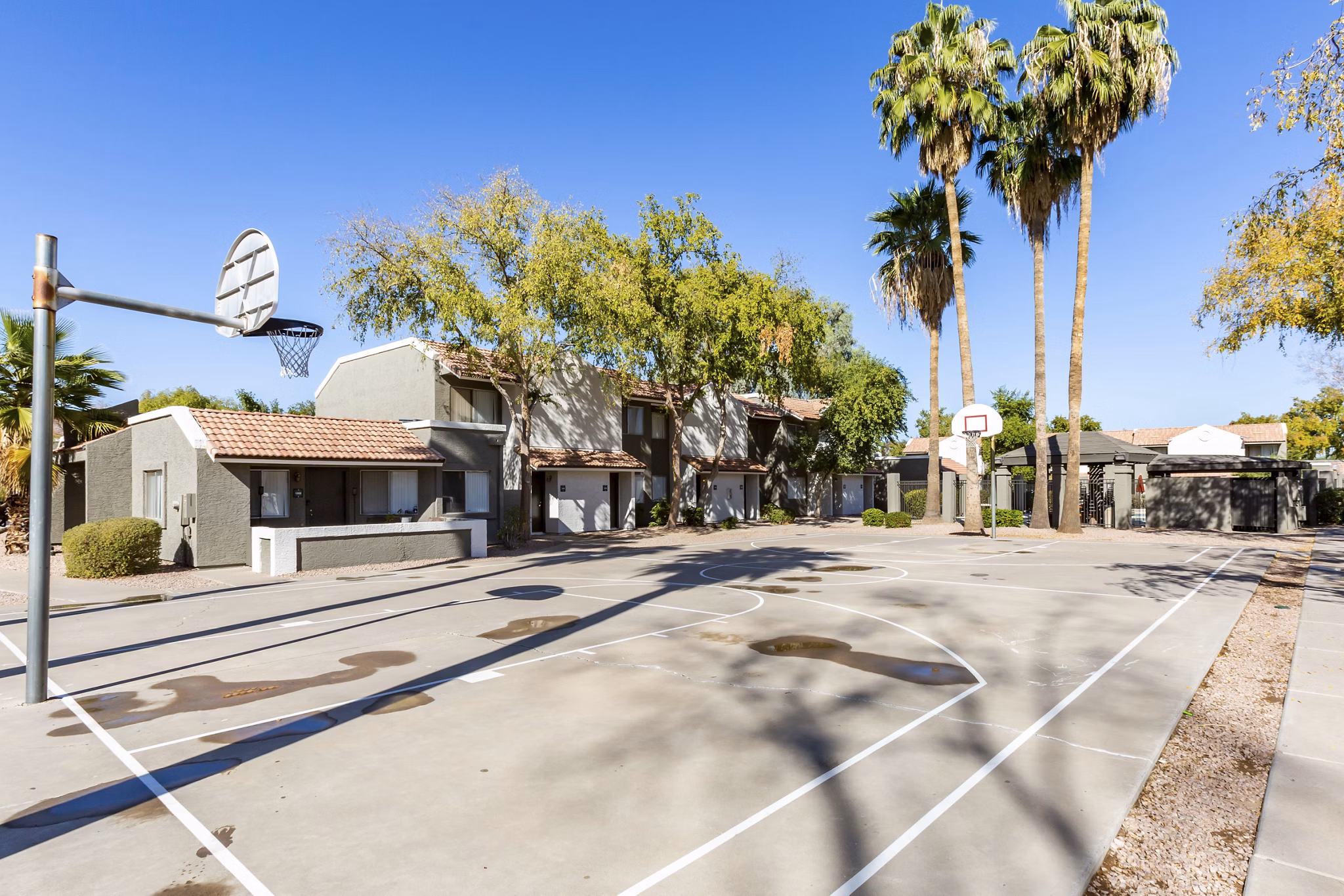 Outdoor sport court at Avana Chandler Apartments, ideal for active residents seeking recreation and fitness opportunities