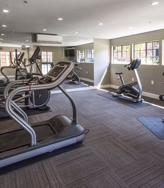 State-of-the-art fitness center featuring modern equipment at Avana Gilbert luxury apartments