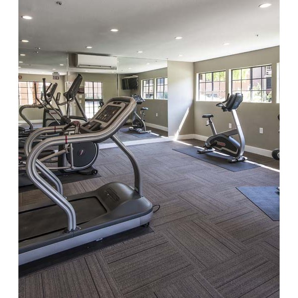 State-of-the-art fitness center featuring modern equipment at Avana Gilbert luxury apartments