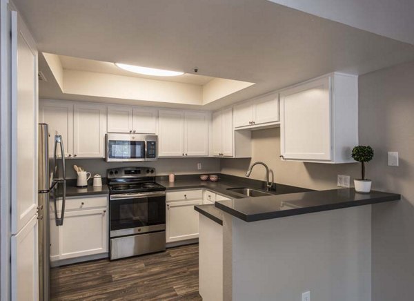 Modern kitchen with stainless steel appliances at Avana Gilbert luxury apartments