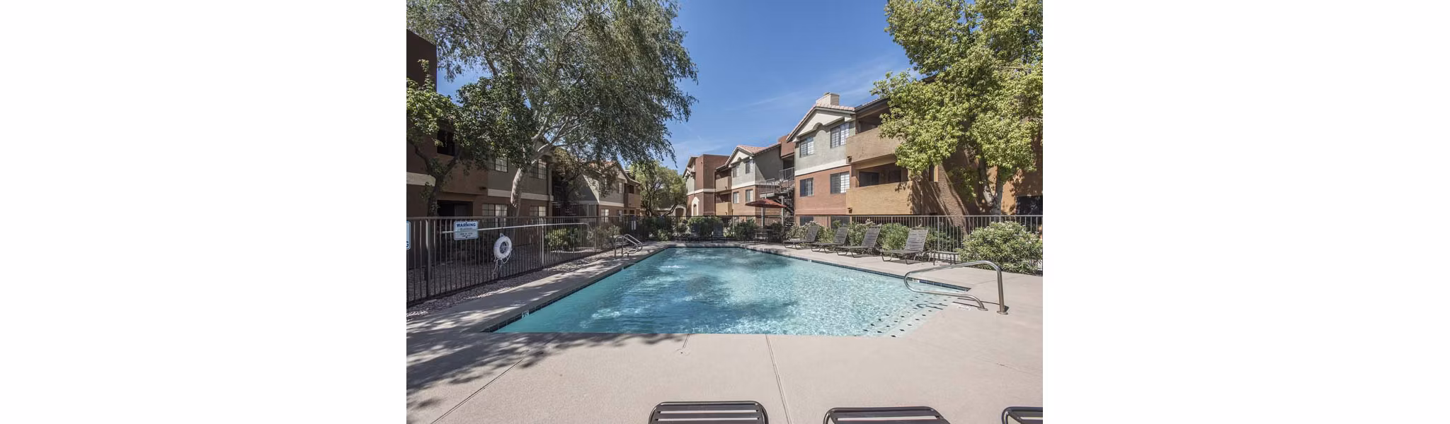 Resort-style pool at Avana Gilbert luxury apartments with lounge seating and lush landscaping