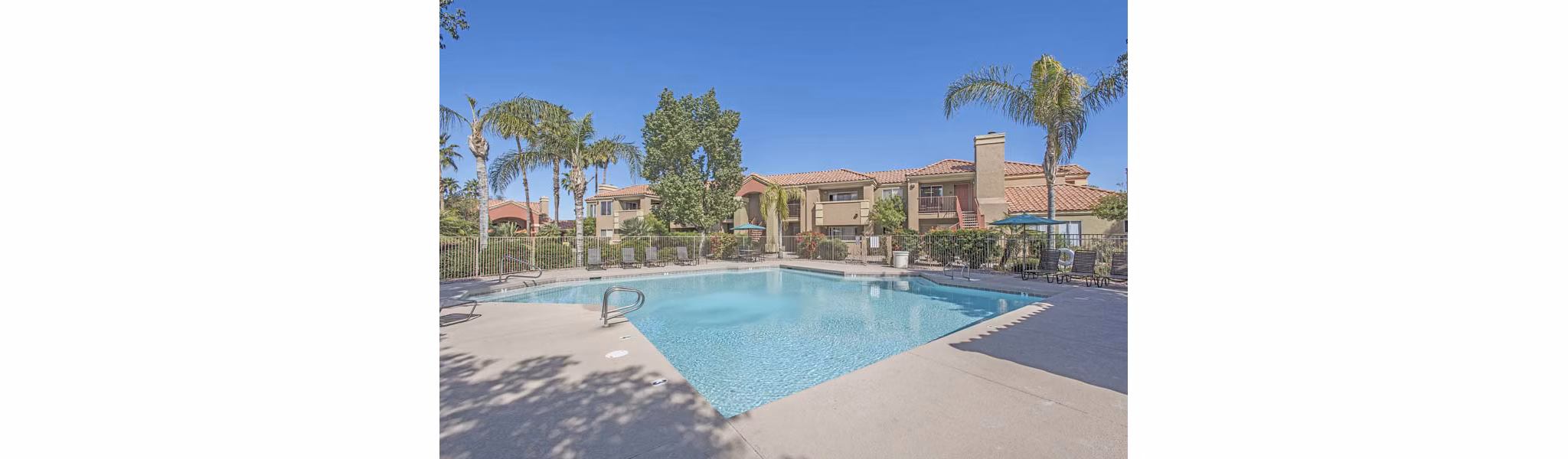 Resort-inspired pool at Avana Gilbert luxury apartments with lounge chairs and lush landscaping