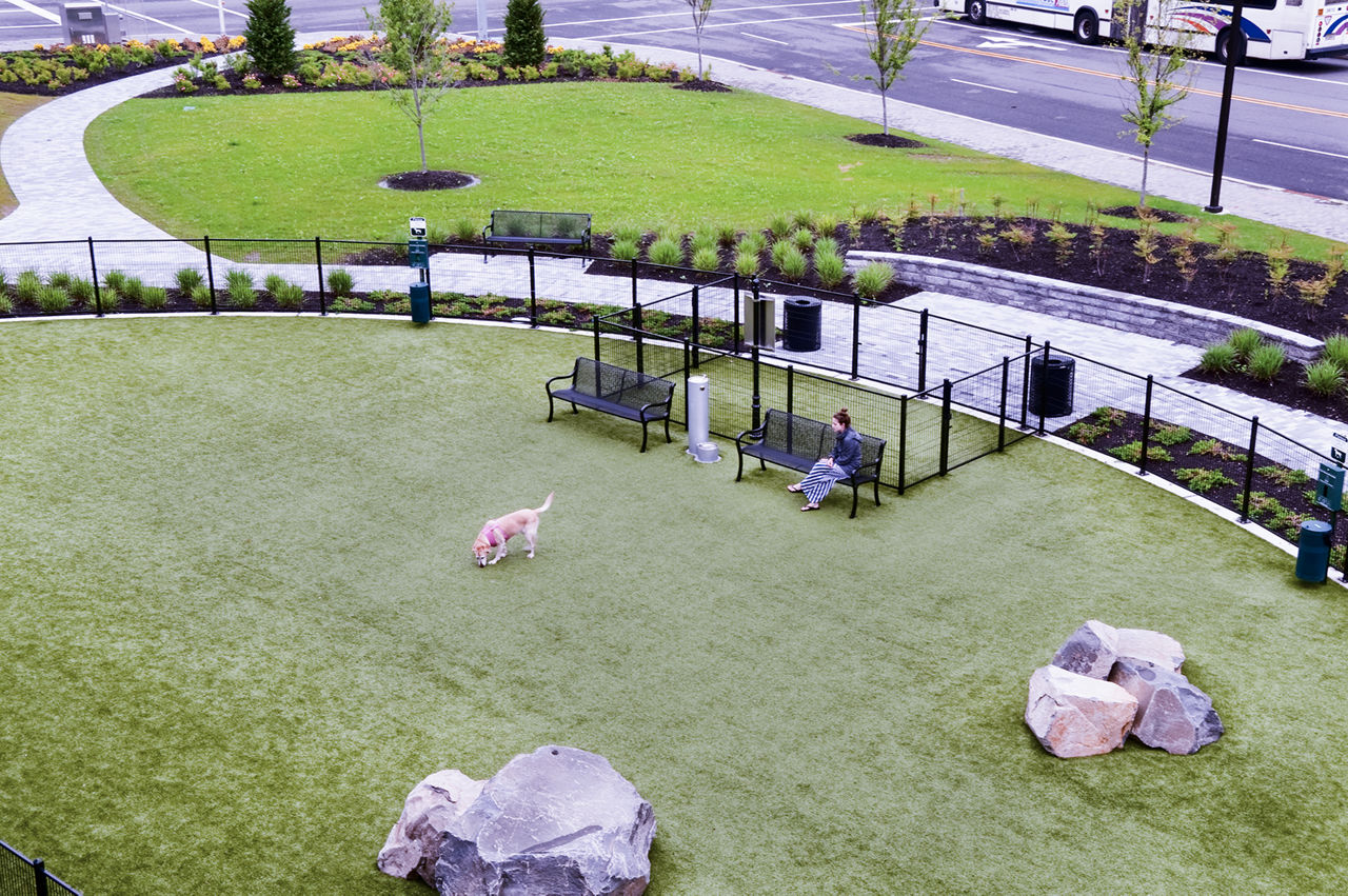 Dog park at Estuary Apartments