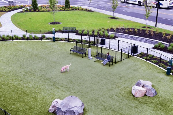 Spacious dog park featuring agility equipment at Estuary Phase II Apartments, perfect for pet-friendly living
