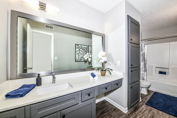 bathroom at Avana Woods Apartments