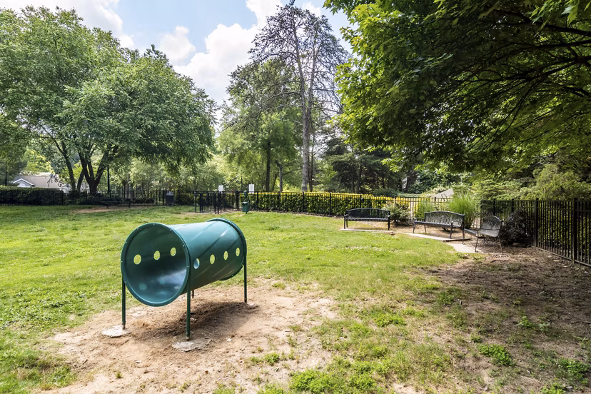 Dog park with agility equipment at Avana Woods Apartments