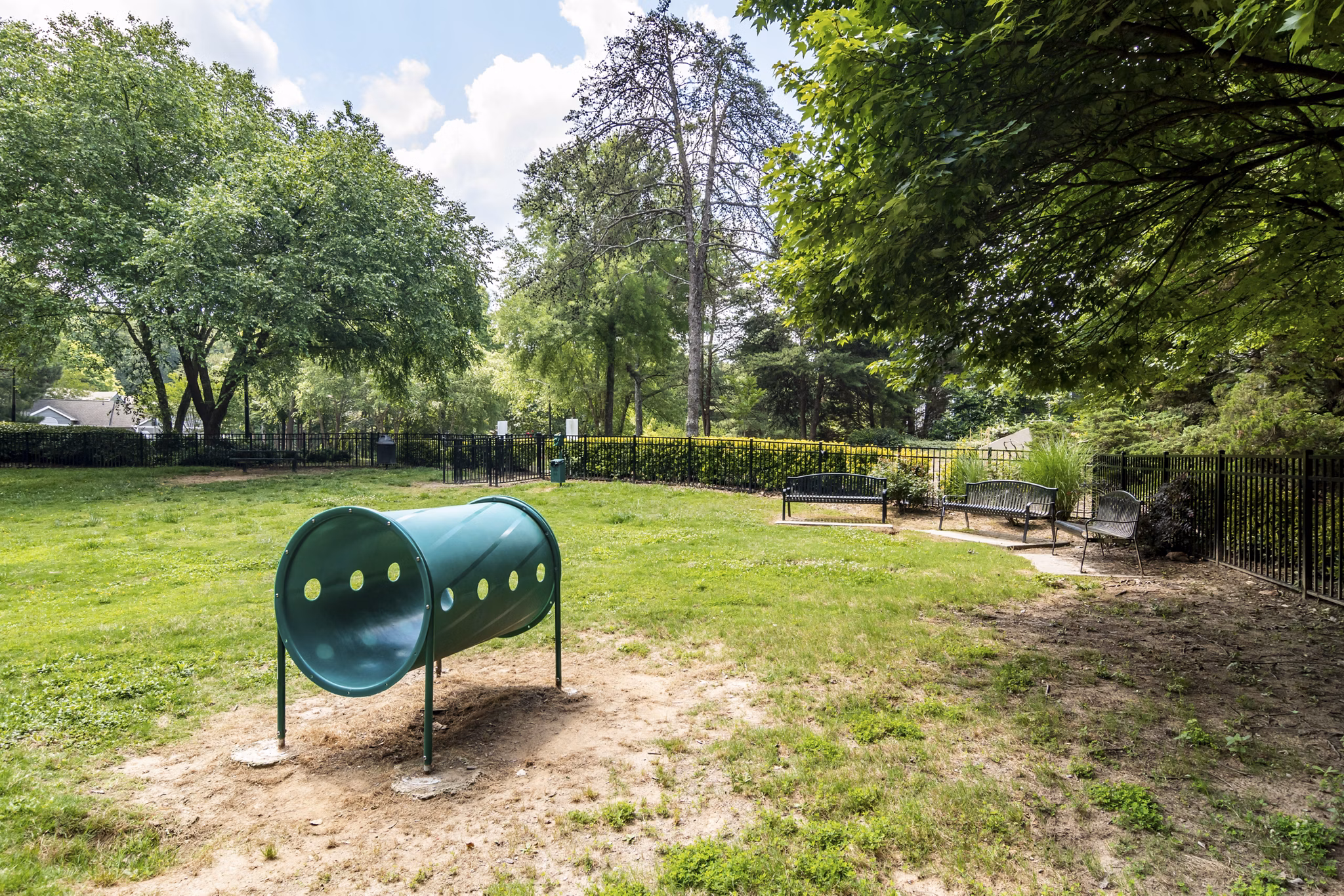 Dog park with agility equipment at Avana Woods Apartments