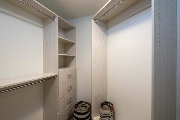 Spacious walk-in closet with ample storage in Helm Apartments