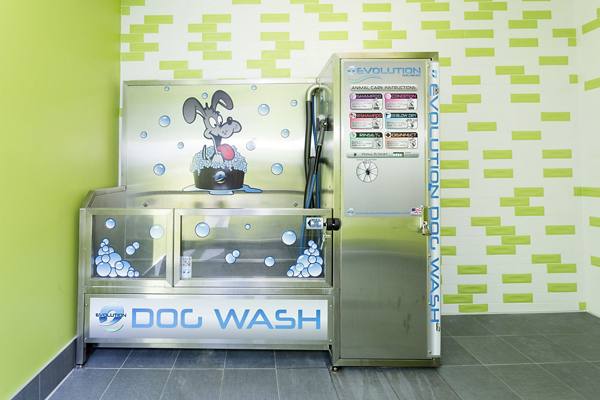dog wash station at Crescent Highland Apartments                                               
                                                                           