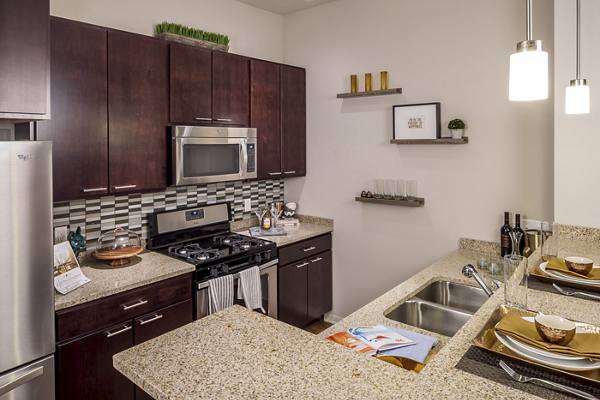 kitchen at The Paxon Apartments