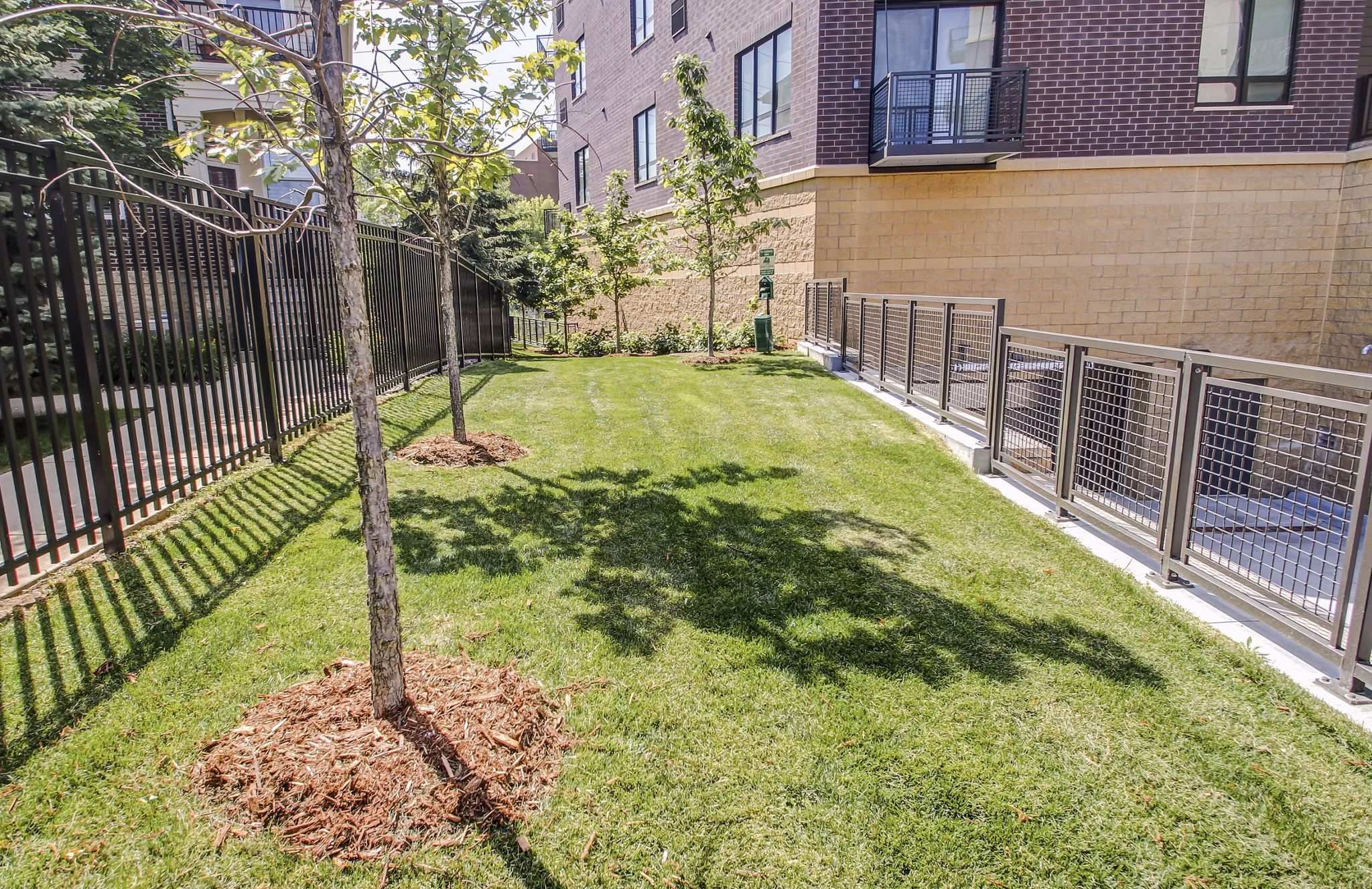 The Paxon Apartments: Spacious fenced dog park with agility equipment in a pet-friendly community